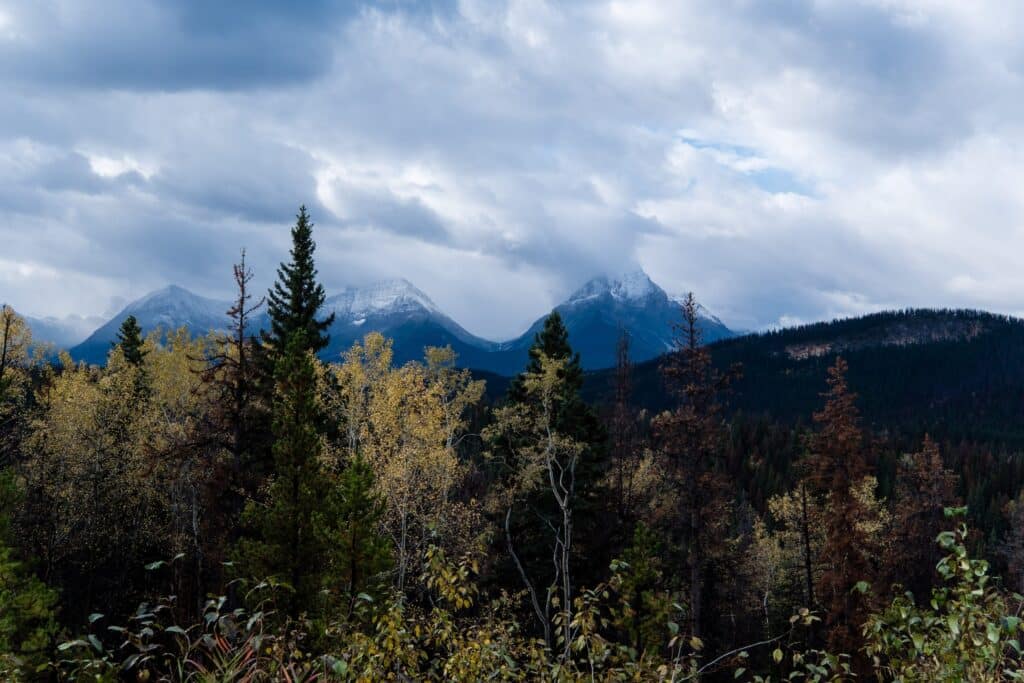 Alberta - B.C. 2019: Day 1