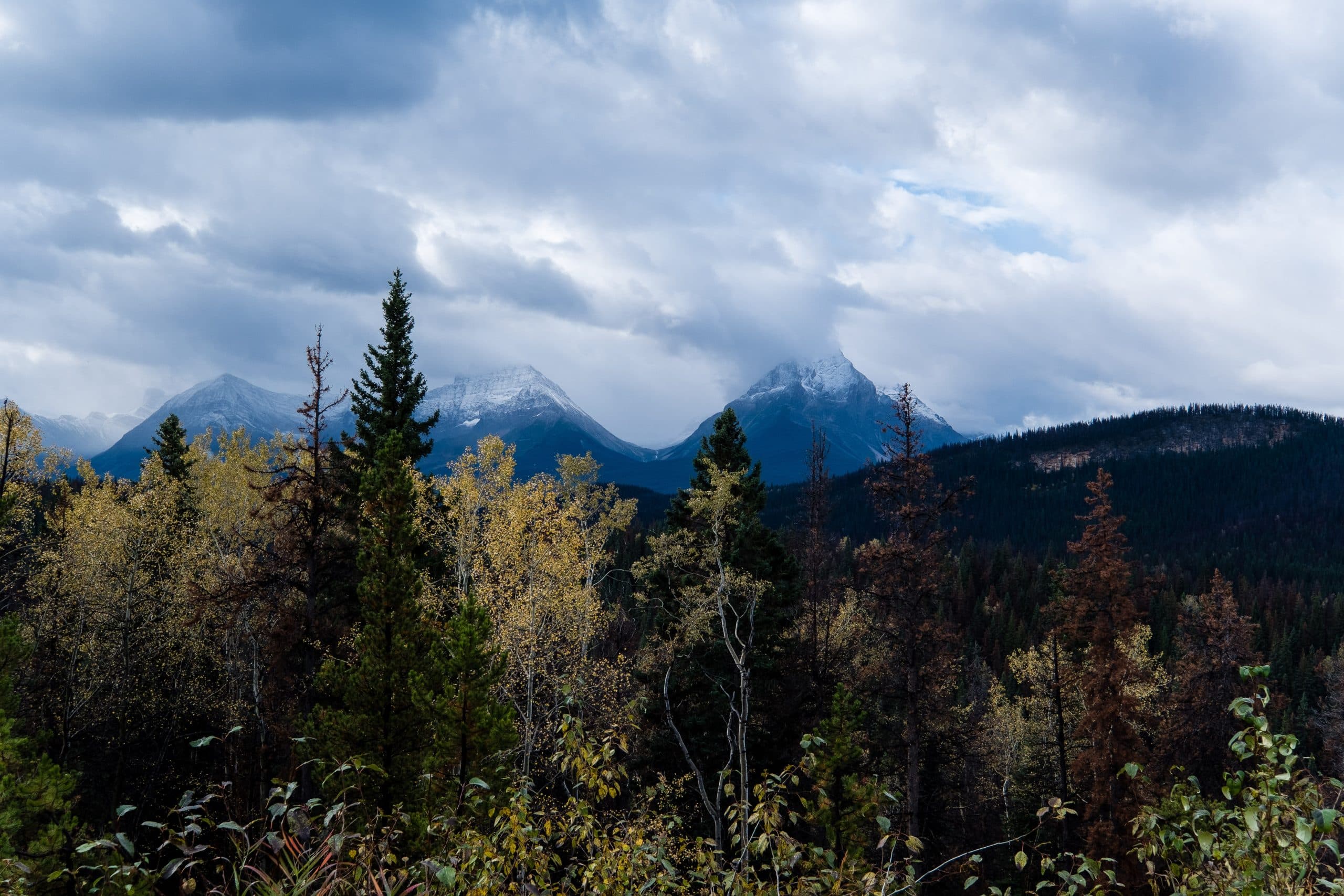 Alberta – B.C. 2019: Day 1
