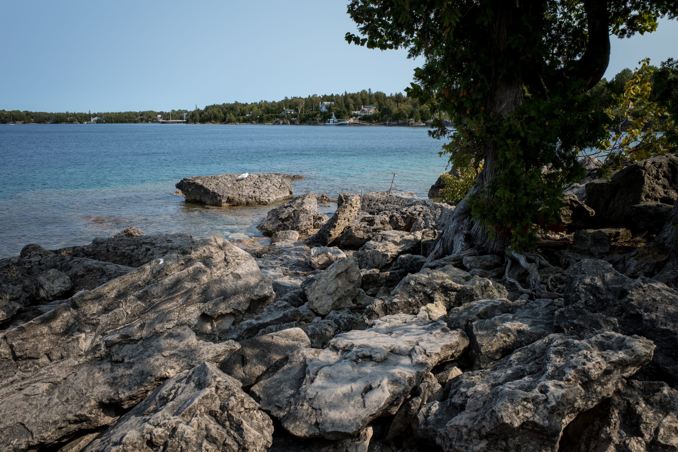 Ontario Getaway: Closing Thoughts on the Trip