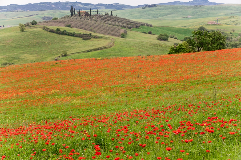 Tuscany
