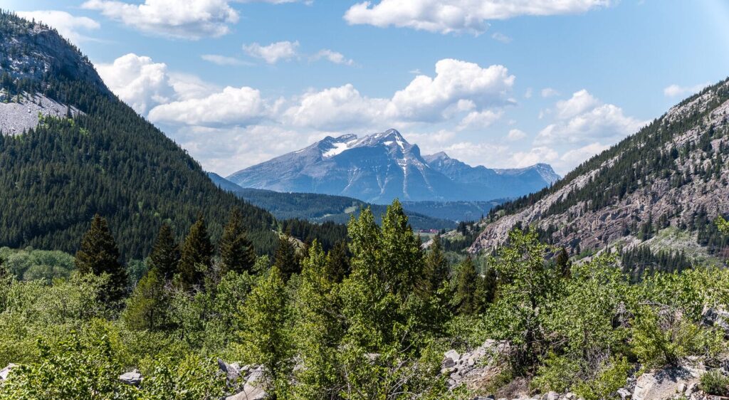 Alberta - B.C. 2025: Crowsnest Pass, Alberta